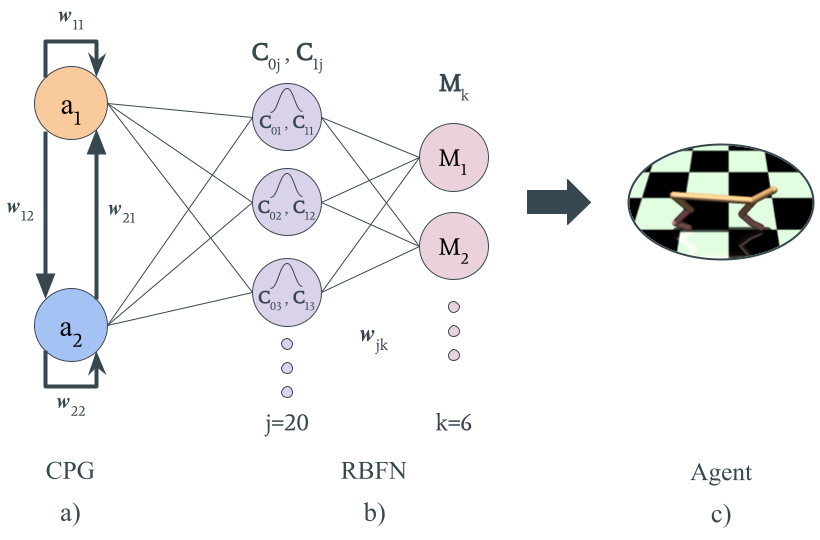 CPG-RBF network architecture