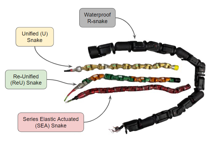 Different modular snakes